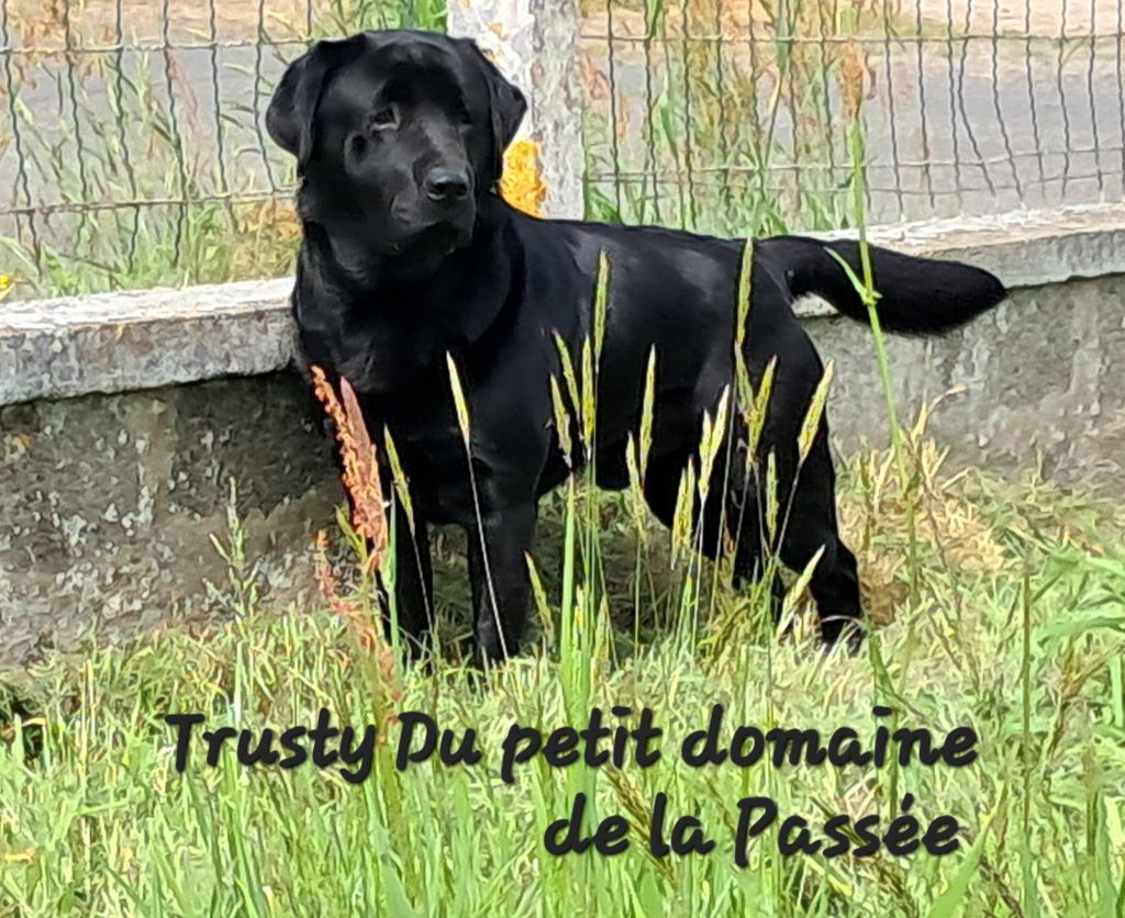 Trusty Du Petit Domaine De La Passee