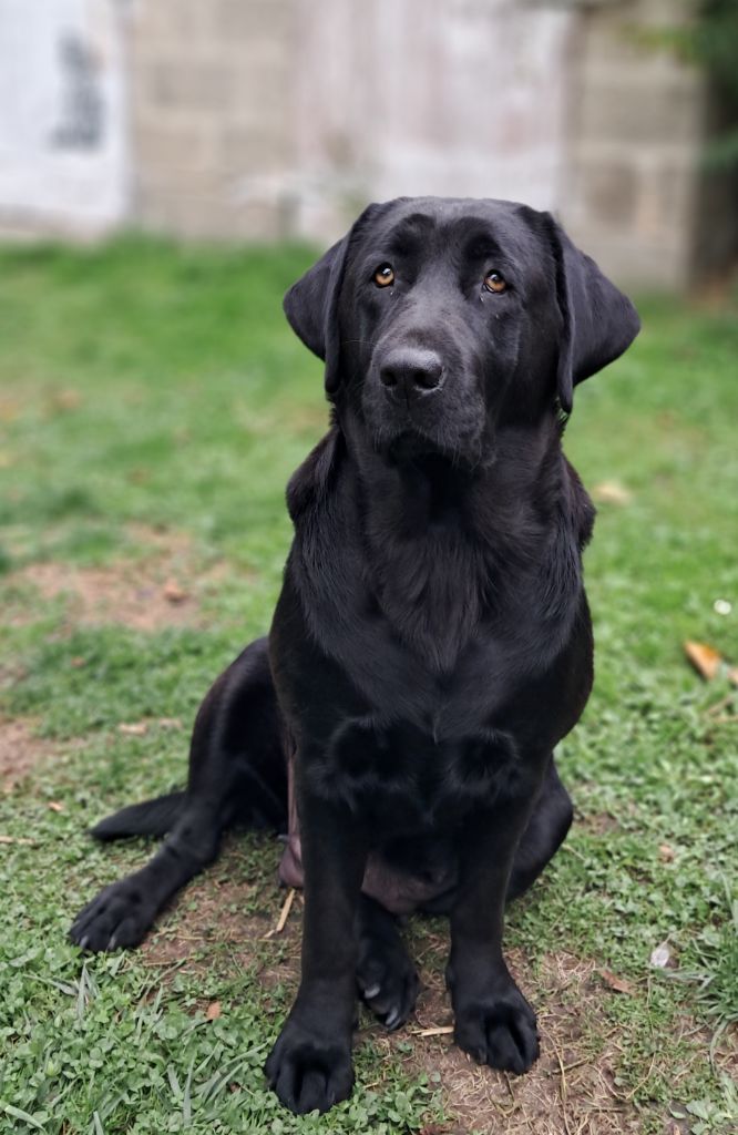 Tia Du Petit Domaine De La Passee