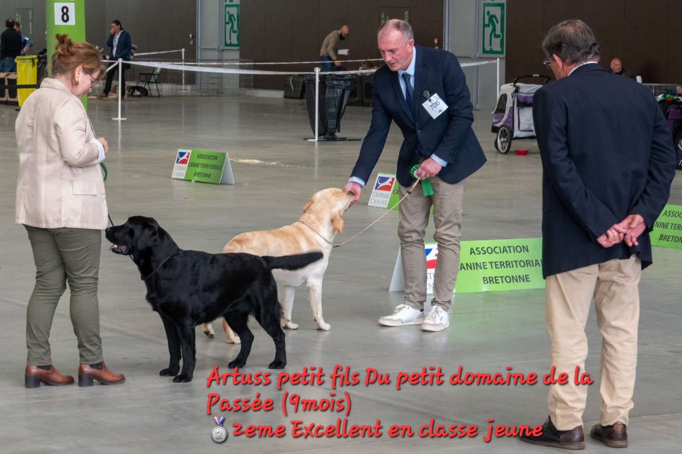 ARTUSS PETIT FILS DU PETIT DOMAINE DE LA PASSEE