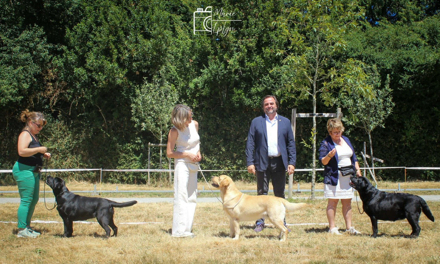 Du Petit Domaine De La Passee - CHATEAUBRIANT 5 juillet 2026 CACS speciale de race