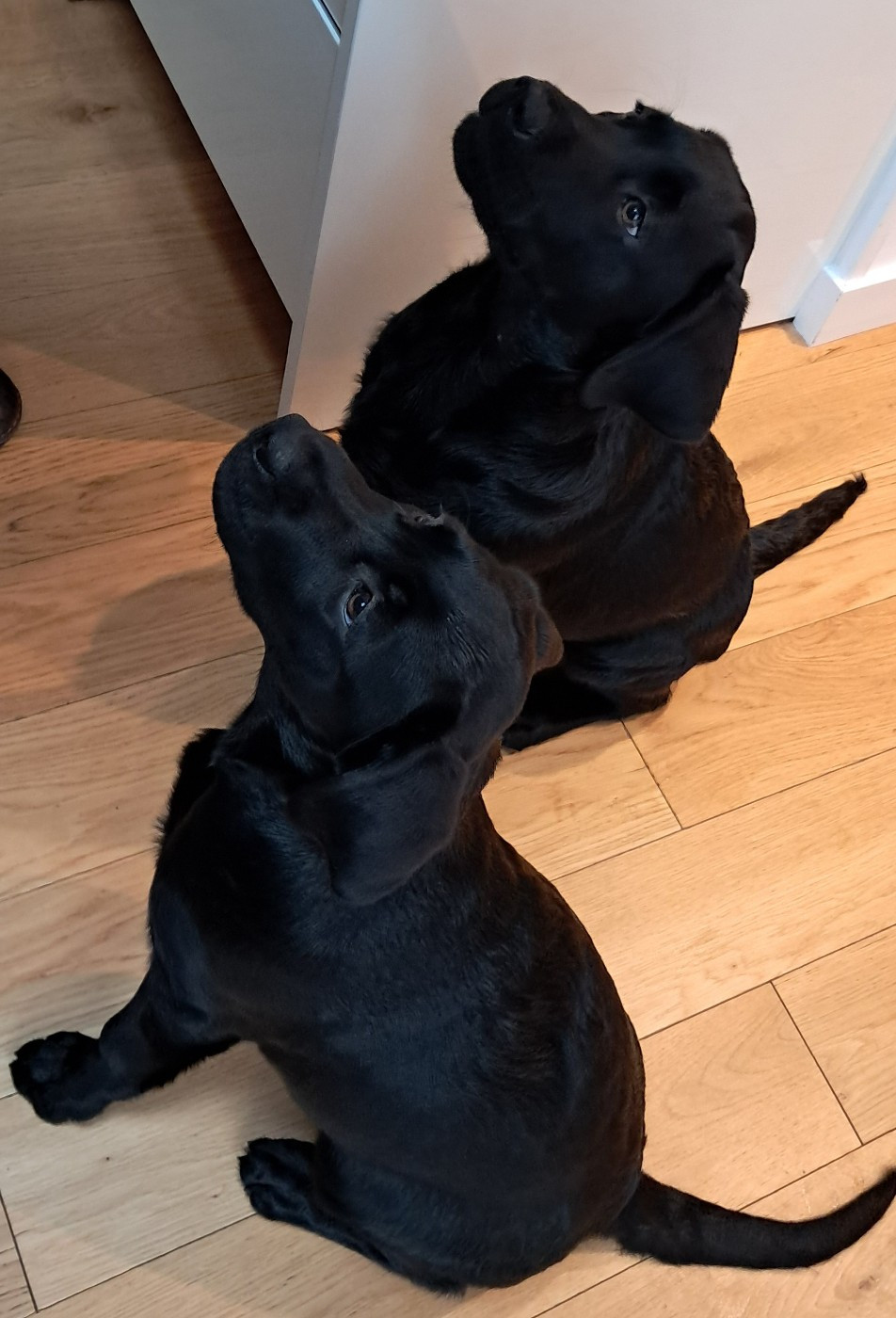 Portée TIA/URSA MINOR 27/07/2025